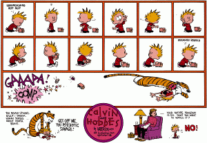 calvin-and-hobbes